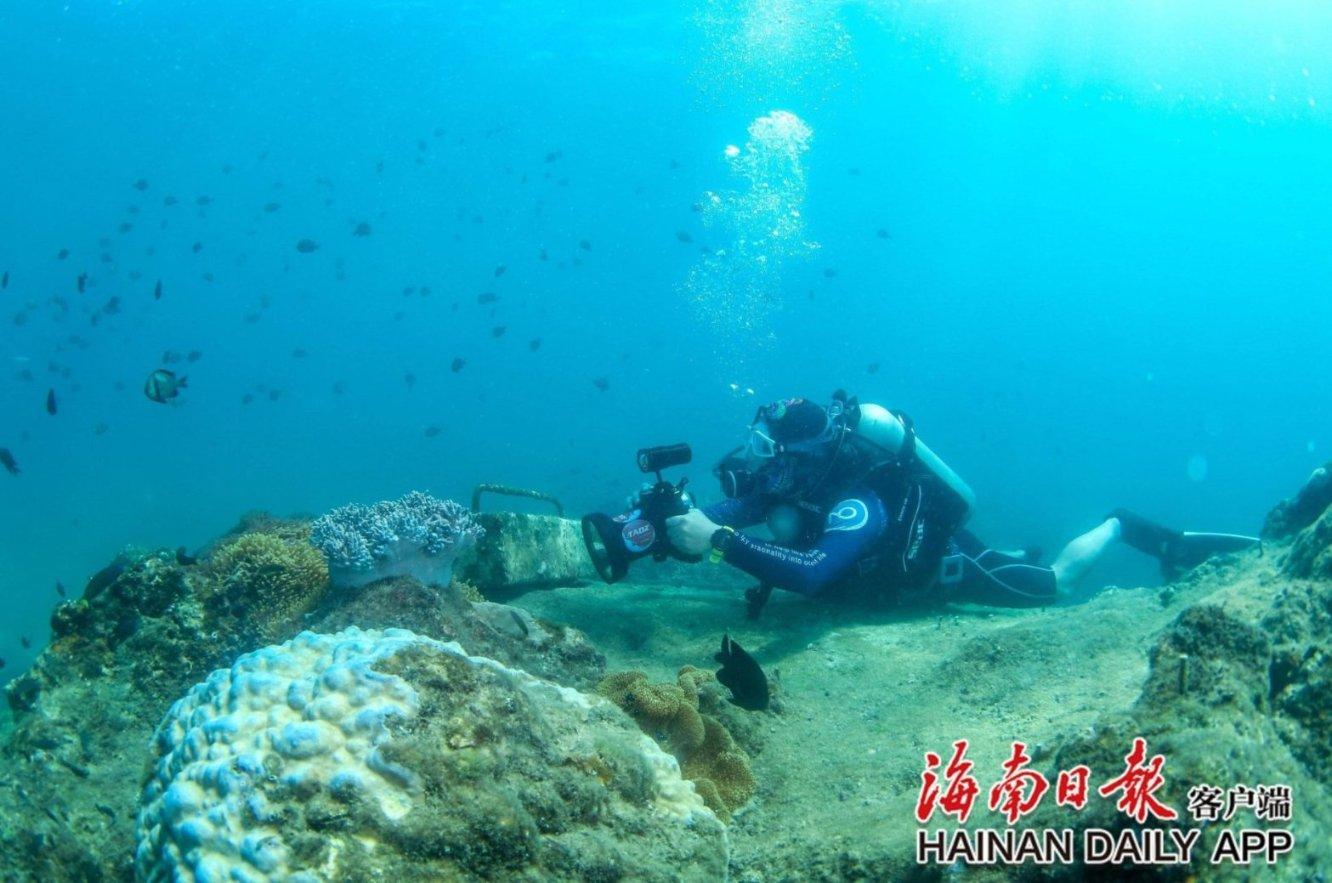低碳环保当道，高明尚昂“环境友好型皮革”正流行！